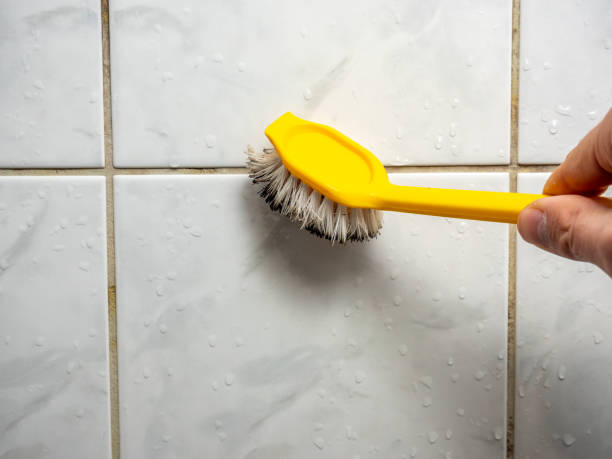 Best Mold Remediation for Schools in Braham, MN