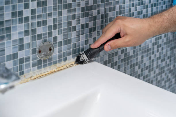 Professional Mold Remediation in Braham, MN