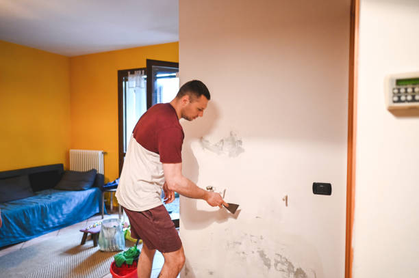Best Basement Mold Remediation in Braham, MN